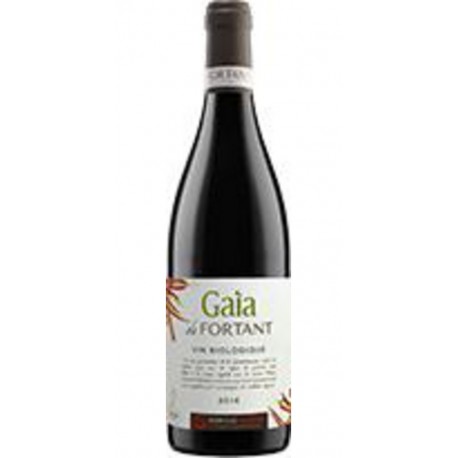 SKALLI-FORTANT DE FRANCE Saint Chinian Gaia BIO Rouge 2019 75cl