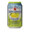 San Pellegrino Pamplemousse 33cl (pack de 24)