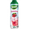 Teisseire Sirop de Grenadine 60cl (lot de 5 bouteilles)