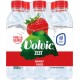 VOLVIC ZES VOLVIC ZEST FRAISE 6x50cl (pack de 6)