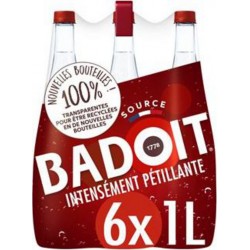 Badoit Eau minérale gazeuse 6 x 1 L